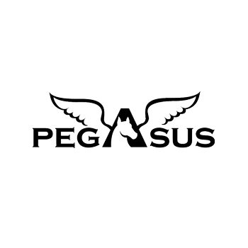 Da Noè Forniture puoi trovare tutti i prodotti di PEGASUS